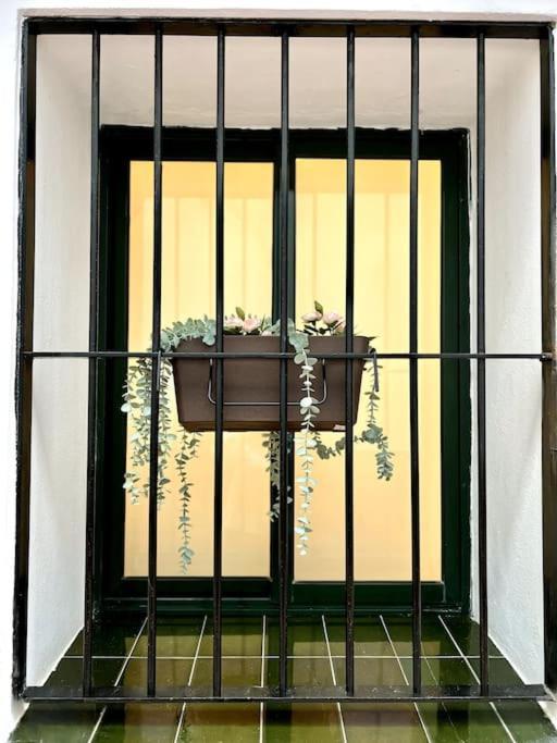 Auxiliadora Luxury Lägenhet Sevilla Exteriör bild